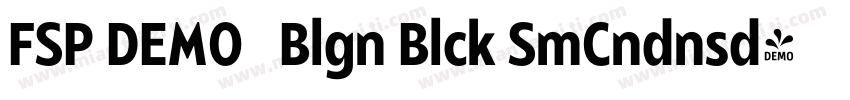 FSP DEMO   Blgn Blck SmCndnsd字体转换